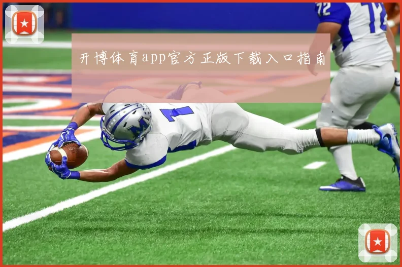 开博体育app官方正版下载入口指南